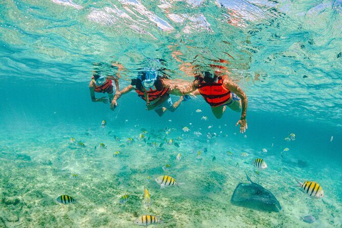2 Day Combo Tour, Xcaret, Xel-Ha, Xplor and Chichen Itza Option - Price and Value: What You’re Paying For at $259.98