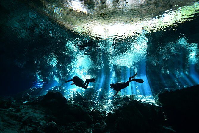 2 dives in Cenote Dos ojos Certified Divers - Key highlights you should know