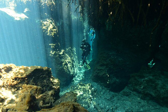 2 dives in Cenote Dos ojos Certified Divers - Cenote Dos Ojos: the classic start for Tulum scuba