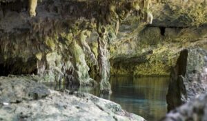 2 dives in Cenote Dos ojos Certified Divers - Equipment first: why it makes the whole trip smoother