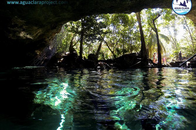 2 dives in Cenote Dos ojos Certified Divers - What you’re actually paying for: $200, plus cenote entrance fees