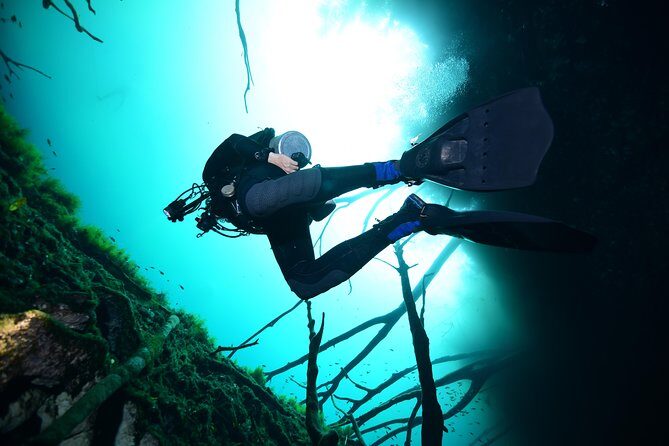 2 dives in Cenote Dos ojos Certified Divers - Practical tips that make a real difference in cenotes