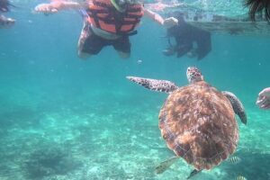 2-Hour Snorkeling in Two Spots of Tulum's Reef - Route by the Archaeological Zone: photos with El Castillo energy
