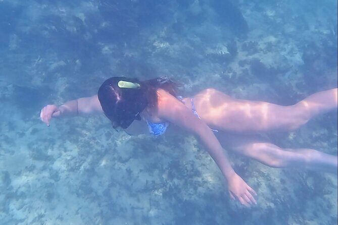 2-Hour Snorkeling in Two Spots of Tulum's Reef - Stop two on the reef: fish schools, coral scenes, and stingray chances