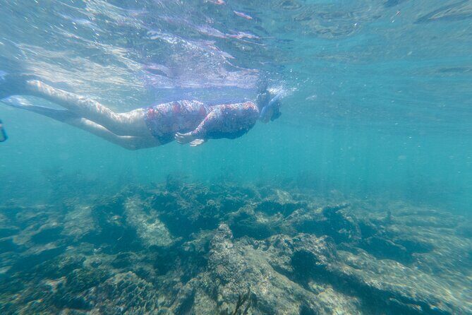 2-Hour Snorkeling in Two Spots of Tulum's Reef - Price and value: the $51.62 base vs the total day cost
