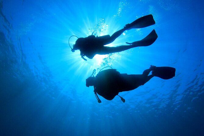 2 Tank Dive (for certified divers) - Reef watching tips that help you get better sightings