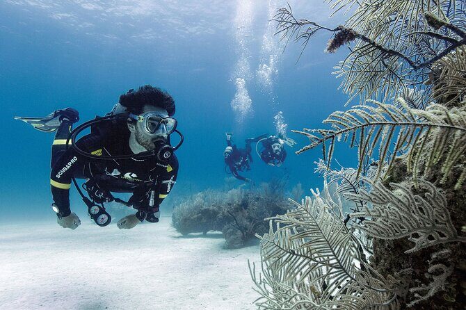 2 Tank Dive (for certified divers) - Should you book this 2-tank scuba session in Costa Maya?