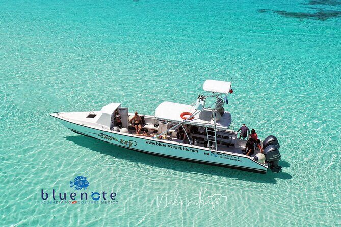 2 Tank Morning Dive: Scuba Diving in Cozumel - Key Things You’ll Notice On This Cozumel Morning
