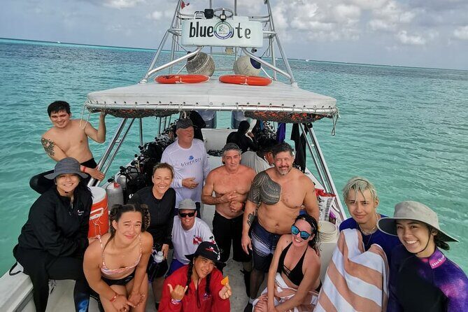 2 Tank Morning Dive: Scuba Diving in Cozumel - Lunch on the Water Interval: Why It Matters