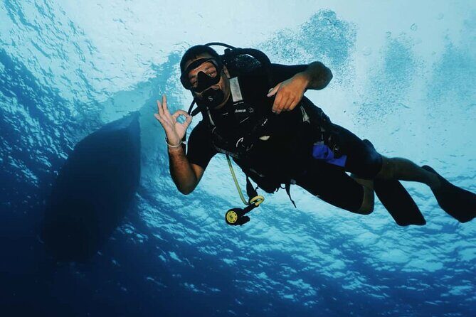 2 Tank Morning Dive: Scuba Diving in Cozumel - Wildlife Expectations: What You Might See in Cozumel