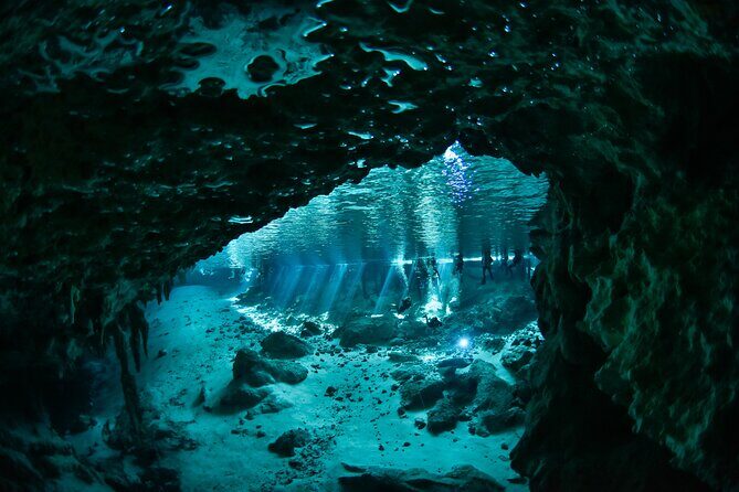 3 Cenote Dives - Casa & Dos Ojos - Dos Ojos: two sessions that give you a second chance