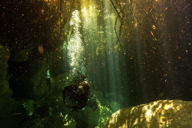 3 Cenote Dives - Casa & Dos Ojos - Your PADI instructor and gear: safety-forward, small-group focused