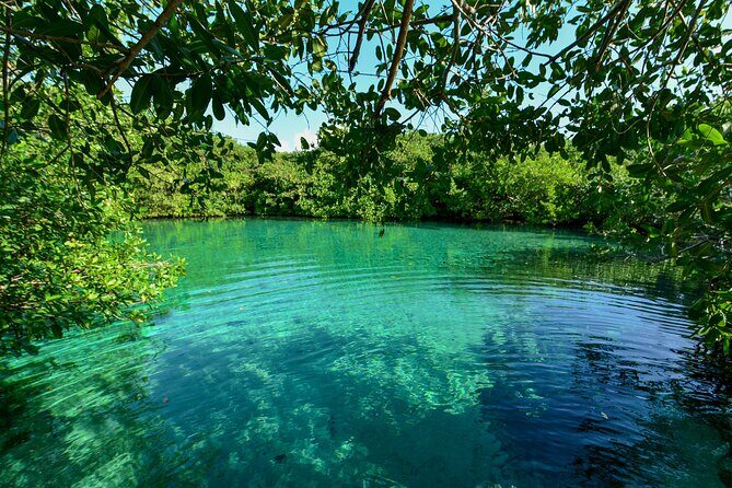 3 Cenote Dives - Casa & Dos Ojos - Logistics that actually matter: where to meet and how to plan transport