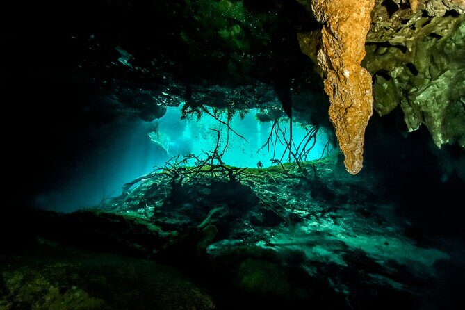 3 Cenote Dives - Casa & Dos Ojos - Should you book Infinity 2 Diving’s Casa & Dos Ojos tour?