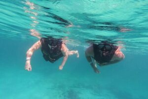 3 in 1 Private Tour Tulum Cenote and Snorkeling in the reef - Getting there: private transportation and pickup costs that add up fast