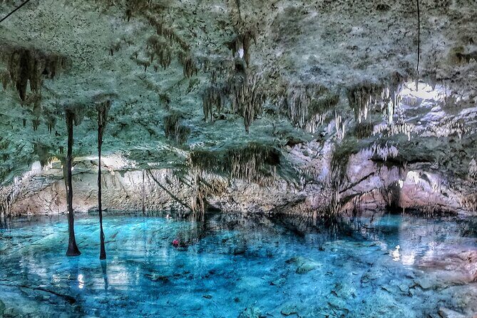 3 in 1 Private Tour Tulum Cenote and Snorkeling in the reef - Stop 3: Cenote Xunaan-Ha snorkeling in crystal-clear water