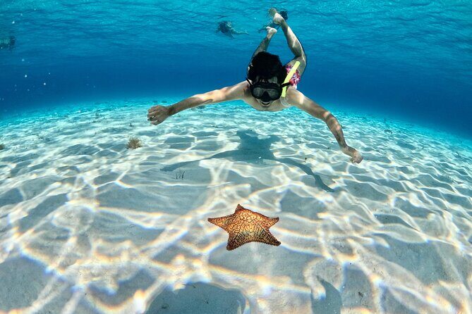4 Hour Cozumel Turtle Sanctuary Experience on a Luxury Catamarán - Reef stops you’re going for: turtles, El Cielo starfish, and the sandbank finale