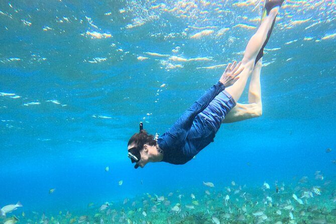 4 Hour Cozumel Turtle Sanctuary Experience on a Luxury Catamarán - Food and drinks: ceviche, fresh fruit, and the rum punch question