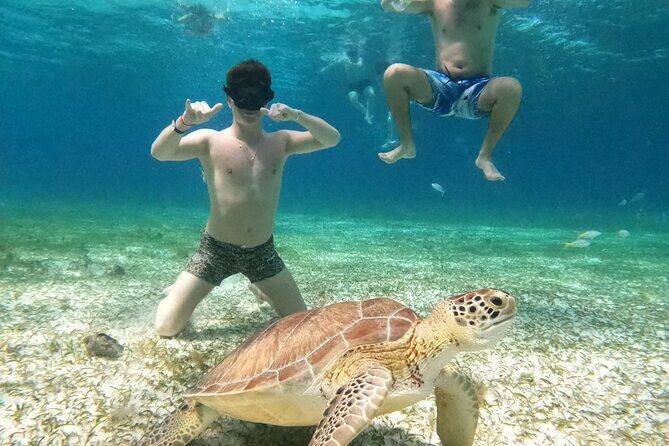 4 Hour Cozumel Turtle Sanctuary Experience on a Luxury Catamarán - Sunscreen rules and reef safety: bring the right gear