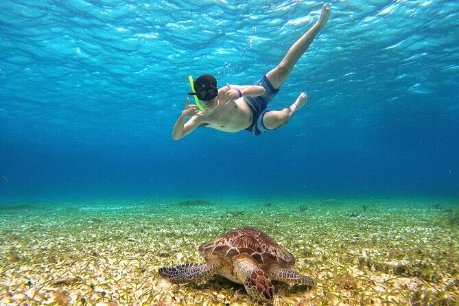 4 Hour Cozumel Turtle Sanctuary Experience on a Luxury Catamarán - Safety tips that actually matter in the water