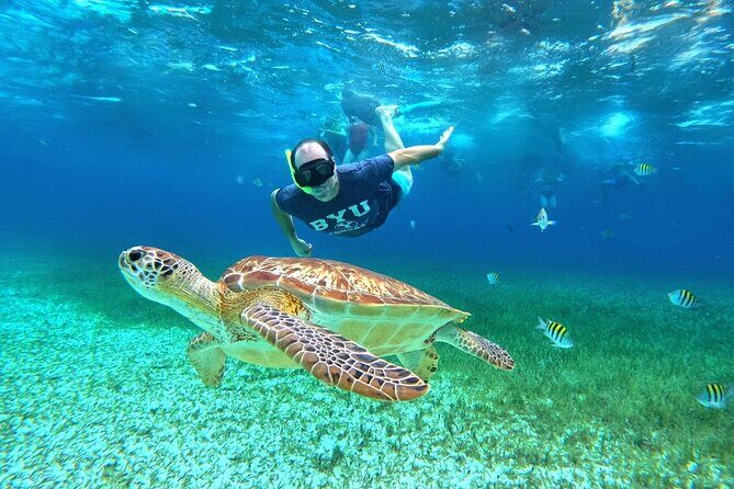 4 Hour Cozumel Turtle Sanctuary Experience on a Luxury Catamarán - Price and value: what you’re really paying for at $77.50