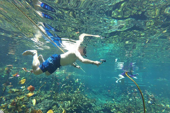 4 Private Cenotes, Zip-Lines, Canoes & Mayan Village with Delicious Lunch - Lunch in a Mayan Village: Local Food That Actually Feels Part of the Day