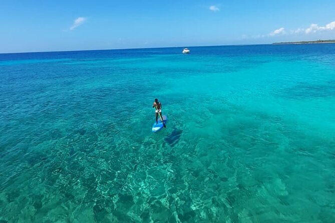 4H Lux 40' Catamaran All-Inclusive in Tulum and Playa del Carmen. - A 40-foot private catamaran day on the Riviera Maya