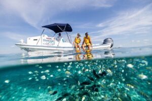 5-in-1 Cancun Snorkeling: Turtles, Reef, Musa, Shipwreck, Cenote - MUSA Underwater Art: How to See the Statues Without Feeling Lost