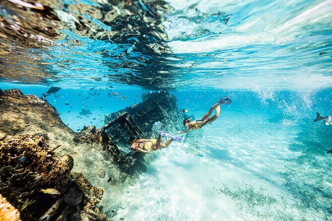 5-in-1 Cancun Snorkeling: Turtles, Reef, Musa, Shipwreck, Cenote - Cenote Swim at the End: A Different Water Mood