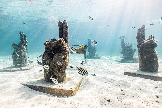 5-in-1 Cancun Snorkeling: Turtles, Reef, Musa, Shipwreck, Cenote - Crew, Gear, and Photos: The Stuff That Makes or Breaks Comfort