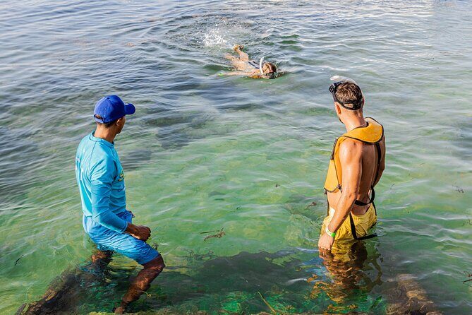 5-in-1 Cancun Snorkeling: Turtles, Reef, Musa, Shipwreck, Cenote - Price and Value: Where Your $79 Actually Goes