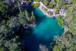 Admission Ticket to Cenotes Zapote EcoPark - Cenote time: water that feels surreal and slightly unbelievable