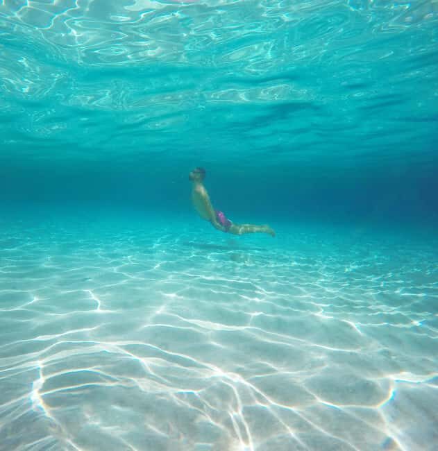 Akumal: Snorkel with Marine Fauna and an Expert Guide - What the best guides do in the water