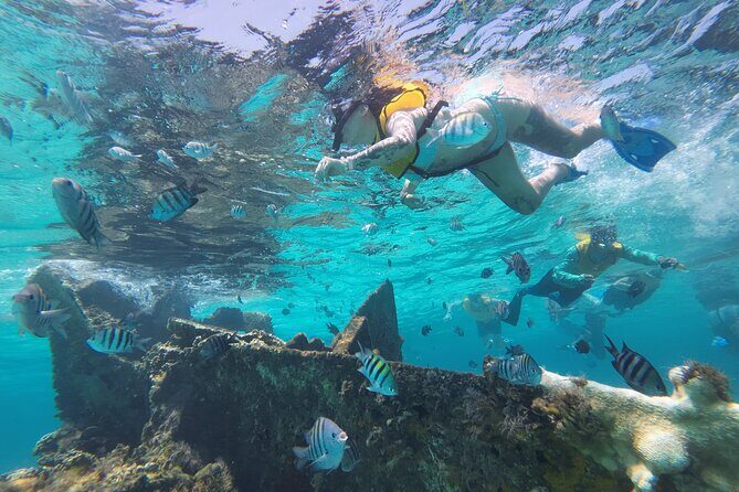 All-Inclusive Isla Mujeres Catamaran with Free Transportation - Weather and timing: what to watch for
