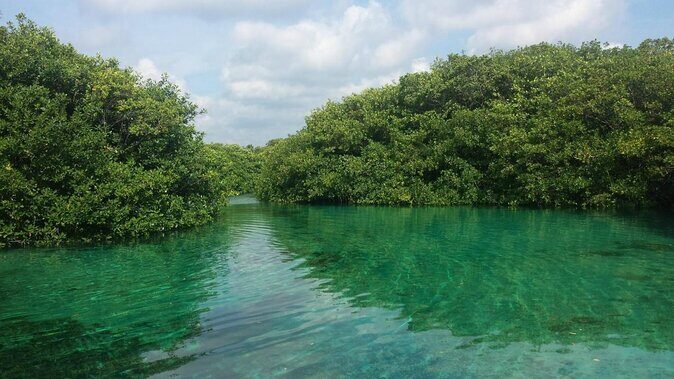 Amazing beginner dive in Tulum cenote (or refresher dive) - Key things that make this experience worth it