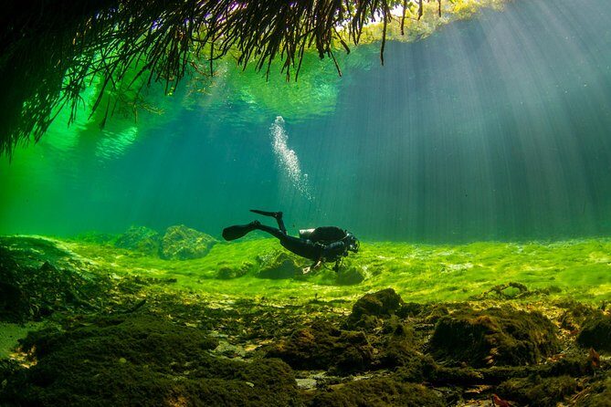 Amazing beginner dive in Tulum cenote (or refresher dive) - Getting Ready at La Calypso: Gear Check and a Real Safety Briefing