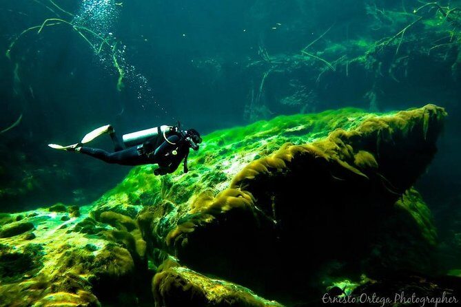 Amazing beginner dive in Tulum cenote (or refresher dive) - Shallow-Water Skill Practice: Where Confidence Gets Built