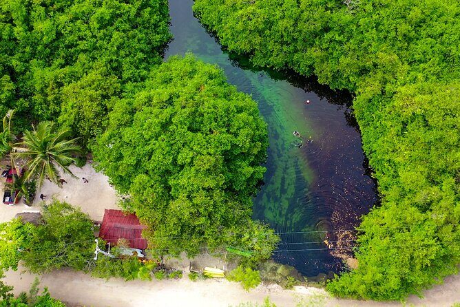 Amazing beginner dive in Tulum cenote (or refresher dive) - Small Group Size: The Real Safety and Comfort Advantage
