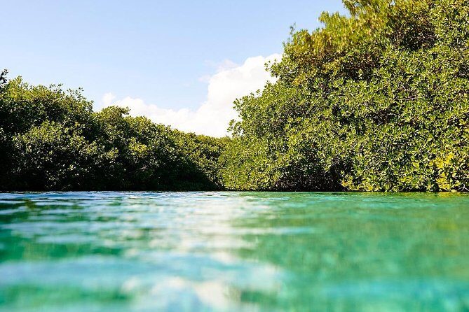 Amazing beginner dive in Tulum cenote (or refresher dive) - Price and Value: What $140 Covers (and Why It Feels Fair)