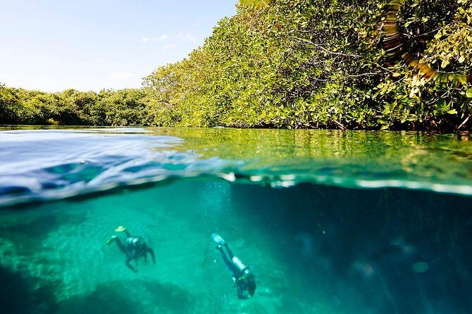 Amazing beginner dive in Tulum cenote (or refresher dive) - Who This Is Best For (Beginner and Refresher Sweet Spot)