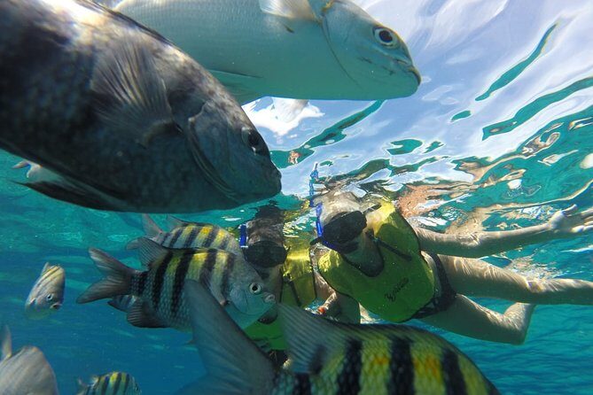 ATV Mud Kicking and Snorkeling by Boat in Cozumel - Guides: small names you might hear and why they matter