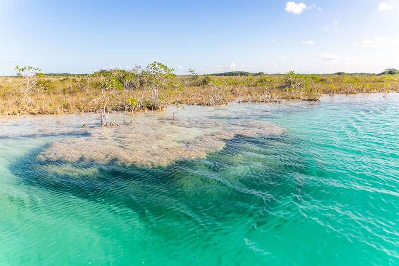 Bacalar: 3 Hour Boat Trip with Swimming & Drinks - Drinks, snacks, and the no-stress onboard rhythm