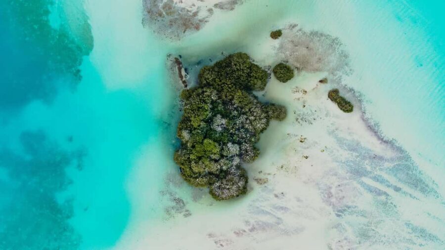 Bacalar Lagoon Sailing Tour with Open Bar and Mexican Lunch - Price and value: why $78 can work for you