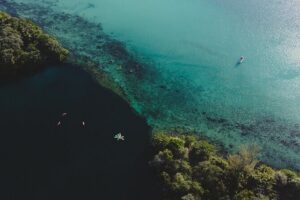 Bacalar Sunrise Stand Up Paddleboard Tour with Breakfast & Photos - Paddling route, timing, and what each stretch really feels like