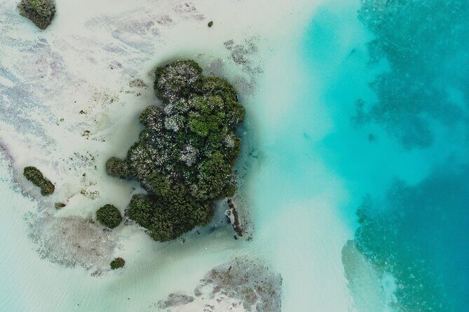 Bacalar Sunrise Stand Up Paddleboard Tour with Breakfast & Photos - Weather, wind, and the one thing you can’t control