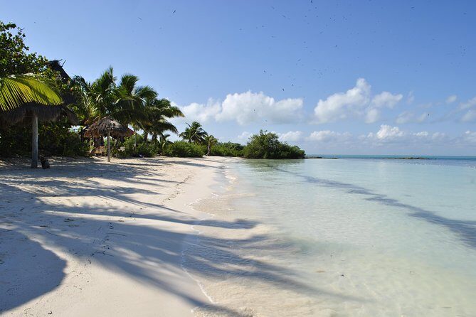 Beach Escape: Isla Contoy and Isla Mujeres with Snorkeling. - Price and what you really get for $169