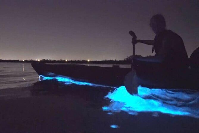 Bioluminescence Tour in Kayak in Holbox Island - The night’s plan: pickup, Mosquito Beach, sandbanks, then a plankton swim