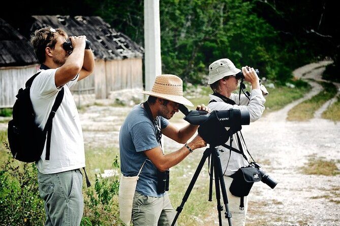 Birdwatching in Sian Ka´an Muyil from Tulum - Shared Group Tour - Key points to know before you go