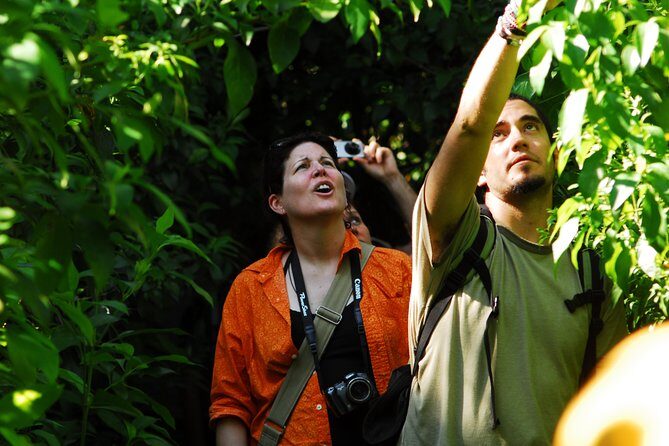Birdwatching in Sian Ka´an Muyil from Tulum - Shared Group Tour - Stop 1 at Muyil: birdwatching from the Mayan village edge