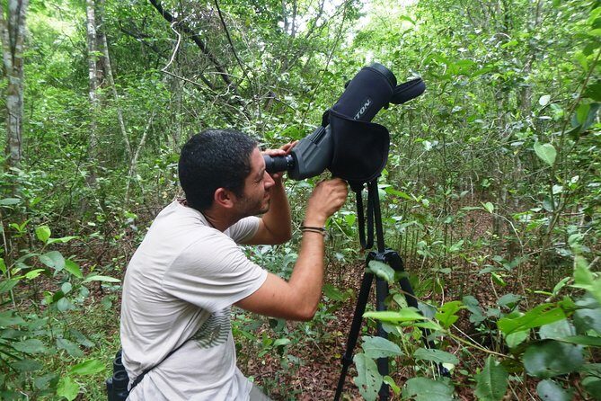 Birdwatching in Sian Ka´an Muyil from Tulum - Shared Group Tour - Stop 2: walking the Muyil archaeological site like it’s a living habitat